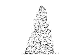 Comment Dessiner Un Arbre Comment Dessiner Un Arbre Dessin Arbre Comment Dessiner Une Fleur