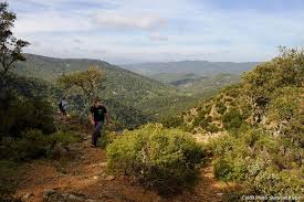 We did not find results for: Balade Dans Le Massif Des Maures I Detours En France