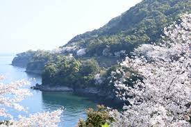 Minamata Cherry Line | Travel Japan (Japan National Tourism Organization)