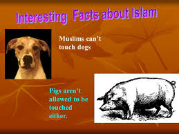 The impurity of dogs is the greatest of animal impurities. Mohammed The Blessed Prophet Mohammed Was The Last Prophet Sent By Allah Or God In Arabic He Brought Peace And Blessings And The Religion Of Islam Ppt Download