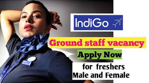 Indigo Ground Staff vacancy/ Airport Jobs for Male and female /2022 -  YouTube