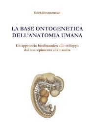 10 miti da sfatare sul concepimento. La Base Ontogenetica Dell Anatomia Umana Un Approccio Biodinamico Allo Sviluppo Dal Concepimento Alla Nascita I A P N O R International Academy Of Posture And Neuromyofascial Occlusion Research