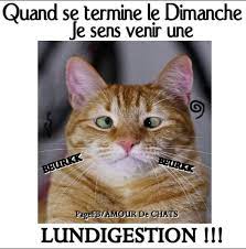 CHAT ALORS </div></body></html>