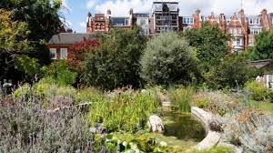 We did not find results for: Chelsea Physic Garden London A Historic Botanical Treasure