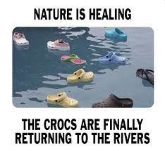 Pin On Pandemic Memes