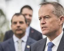 Whistleblower hotline announced to expose live export cruelty