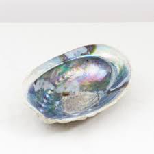 Jul 23, 2021 · abalone is a gastropod mollusk that lives in coastal saltwater. Abalone Shell Happy Medium