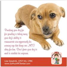 Even if your puppy is aggressive, there are steps you can take to help her going forward. Should You Punish Your Dog From Growling So Much Petential