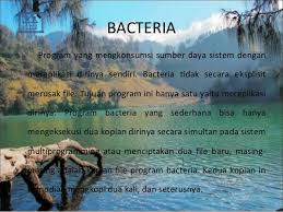 Jika kamu percaya pada allah tolong sebutkan salah satu warisan allah swt yg diwariskan di dalam diri kita. Virus