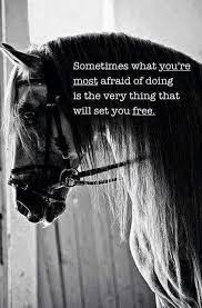 Account Suspended Horse Quotes Inspirational Horse Quotes Horse Riding Quotes