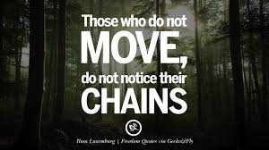 40 Inspiring Quotes About Freedom And Liberty Don't fly off on your own. 40 inspiring quotes about freedom and