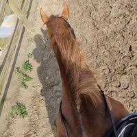 Nahrávejte, sdílejte a stahujte zdarma. La Rosteehoeve Farm In Nieuwkerken Waas