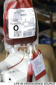 Image result for Blood Transfusion
