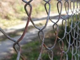 Maybe you would like to learn more about one of these? How To Hide An Ugly Fence Guide Pro Tips Ideas Install It Direct