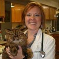 Desert Veterinary Clinic, 995 S 5th Ave, Yuma, AZ 85364, US