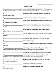 Pin On Anatomy Quizzes Or Worksheets For Anatomy Teachers