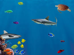 The Living Planet Aquarium Explore Discover Learn Utah Travel City Trip Planets