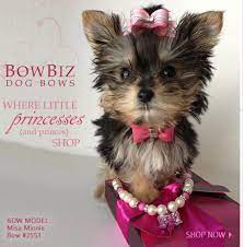 Tongcloud 50pcs dog hair bows with rubber bands rhinestone pearls bows bowknot bows dog bows cute dog hair for puppy dog cats hair accessories mixed color 5.0 out of 5 stars 1 $11.99 $ 11. Dog Bows Quality Dog Bows Yorkie Maltese Shih Tzu By Bowbiz