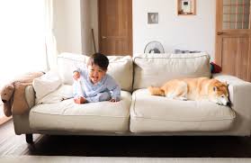 Best Couch Fabric For Parents And Pet Owners Living Room Ideas Cool Couches Couch Fabric Best Sofa