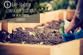 Location of vegetables in the garden arrange vegetables in a way that makes the most efficient use of space and light. How To Maximize Your Garden Through Small Space Gardening Frugally Sustainable