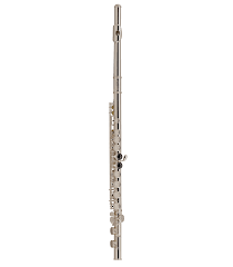 One of the top rated flute brands in india is punam flutes. Selmer Beginner Flute Fl600
