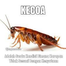 Sebab dimana ada pergaulan, sosialisasi, pertemanan, persahabatan bahkan dengan orang tua sendiripun. Kumpulan Meme Lucu Buat Kamu Yang Fobia Kecoak Foto 6