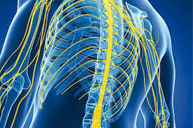 يمكنكم أيضا إستخدام خدمة الزخرفة بالانجليزي بنفسك من أجل زخرفة الأسماء أو السيرة الداتية على ملف المستخدم. Ø§Ù„ØªØµÙ„Ø¨ Ø§Ù„Ù„ÙˆÙŠØ­ÙŠ ÙˆÙ†Ù‚Øµ Ø§Ù„ÙˆØ²Ù† ÙˆØ¬Ø¯Ø§Ù† ÙƒÙ„ÙŠÙ†ÙŠÙƒ