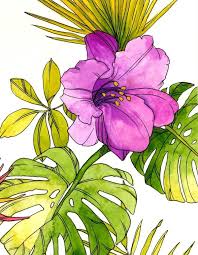 Tropical Flower Watercolor Watercolor Flowers Flower Drawing Flower Painting