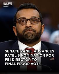 America's Voice News