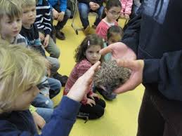 Stacheliger Besuch In Der Grundschule Hohenstange Grundschule Hohenstange