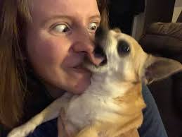 Less common dog breeds, show me yours