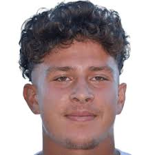 Dominic Schmidt Stats