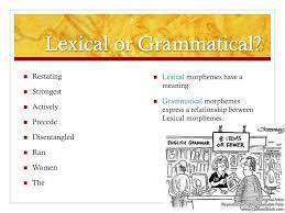 But the distinction is not all that well defined. Ppt Morphology Powerpoint Presentation Free Download Id 3366383