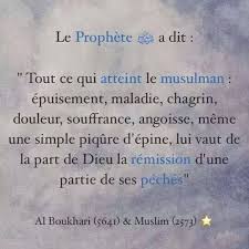 Pin On Muslim Couple