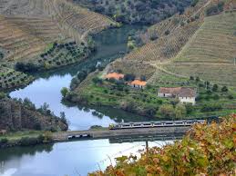 Resultado de imagem para rios bonitos