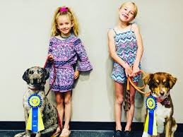 However, stay away from practice like jumps, hops and bends as they can cause strain in their spine. Akc S T A R Puppy Class Series Signals Az