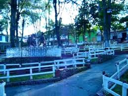 Argelia is a town and municipality in antioquia department, colombia. Municipio De Argelia Antioquia Youtube
