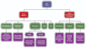 12 3 Vice Crimes Criminal Law