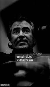 14 Mariachi De Colores Stock Photos, High-Res Pictures, and Images