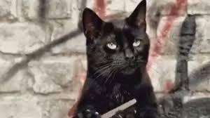 Wählen sie ihr bedienungsanleitung hier aus. Baldur S Gate 3 Patch 4 Download Baldur S Gate Iii Game Mod Playable Gnomes V 1 0 The New Patch For Baldur S Gate 3 Is Out Now And It S A Big One Osspertyfu