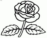 2020 explorez le tableau papillons à imprimer de christine anne auquel 257 utilisateurs de pinterest sont abonnés. Coloriage Rose Dessin Rose Sur Coloriage Info