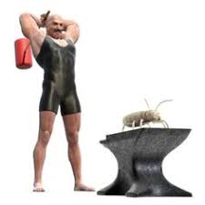 If you need any revisions made to our templates, give us a call and we will try to work with you to make your. 24 Pest Control In Washington Dc Ideas Pest Control Services Pest Control Exterminator