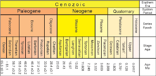 Overview Of Geological Epochs And Periods In The Cenozoic