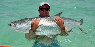 Belize Fishing Flyfishing For Bonefish Permit Tarpon