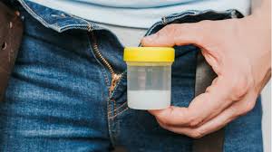 Jeg får disse spørsmålene hele tiden. Det Meste Du Trenger A Vite Om Saedkvalitet Prover Babyverden No