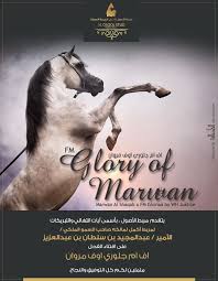 مربط الأصول يهنئ مربط أكمل على اقتناء الفحل الجديد اف ام جلوري اوف مروان Movie Posters Poster Horses