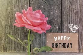 Happy birthday sister flowers roses for my sister happy birthday colorful roses beautiful flower stock photo edit now beautiful flowers happy birthday gif wishes to share 56 850 Birthday Card Flower Rose Photos Free Royalty Free Stock Photos From Dreamstime