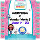 Meowseum at Wonder Works event in Oak Park, IL