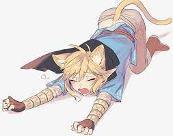 Catboy link :3 : r/animecatboys