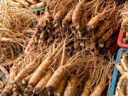 Benefits of ginseng in hindi, ginseng benefits, जिनसेंग के फायदे और नुकसान, जिनसेंग बेनिफिट्स एंड साइड एफेक्ट्स इन हिंदी, ginseng benefits and side effects in hindi, side effects of ginseng in hindi at. Ginseng Health Benefits Facts And Research